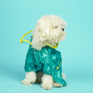 Haze Dog Raincoat-Teal