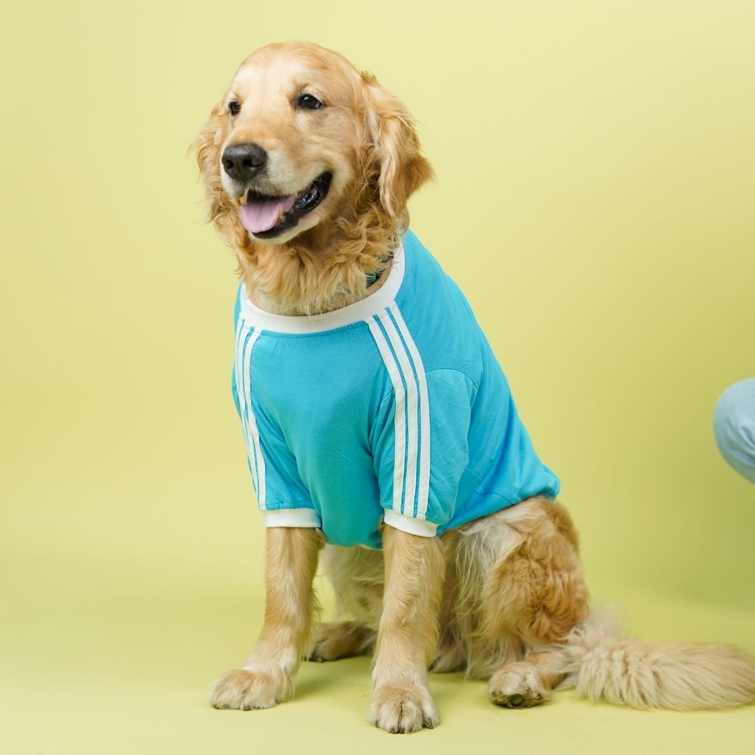 Dive In Stripes - Ocean Dog TShirt