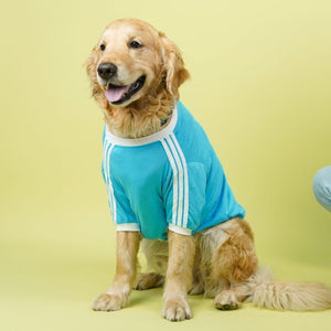 Dive In Stripes - Ocean Dog TShirt