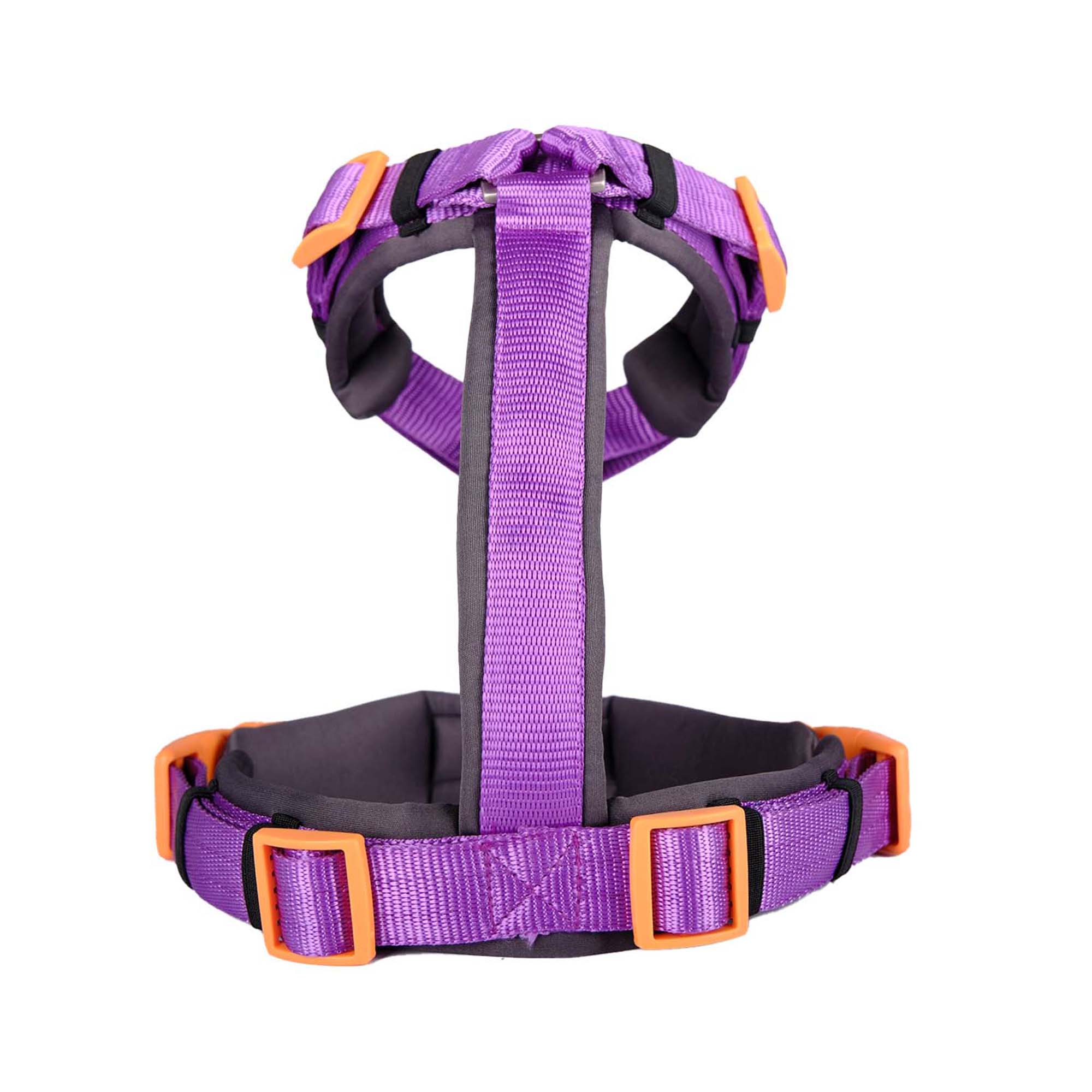 AMETHYST ALPHA HARNESS