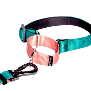 EMERALD & PEACH MARTINGALE COLLAR