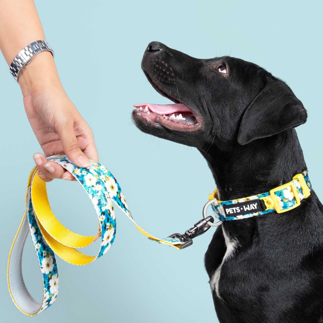 Blossom Dog Collar Leash Set