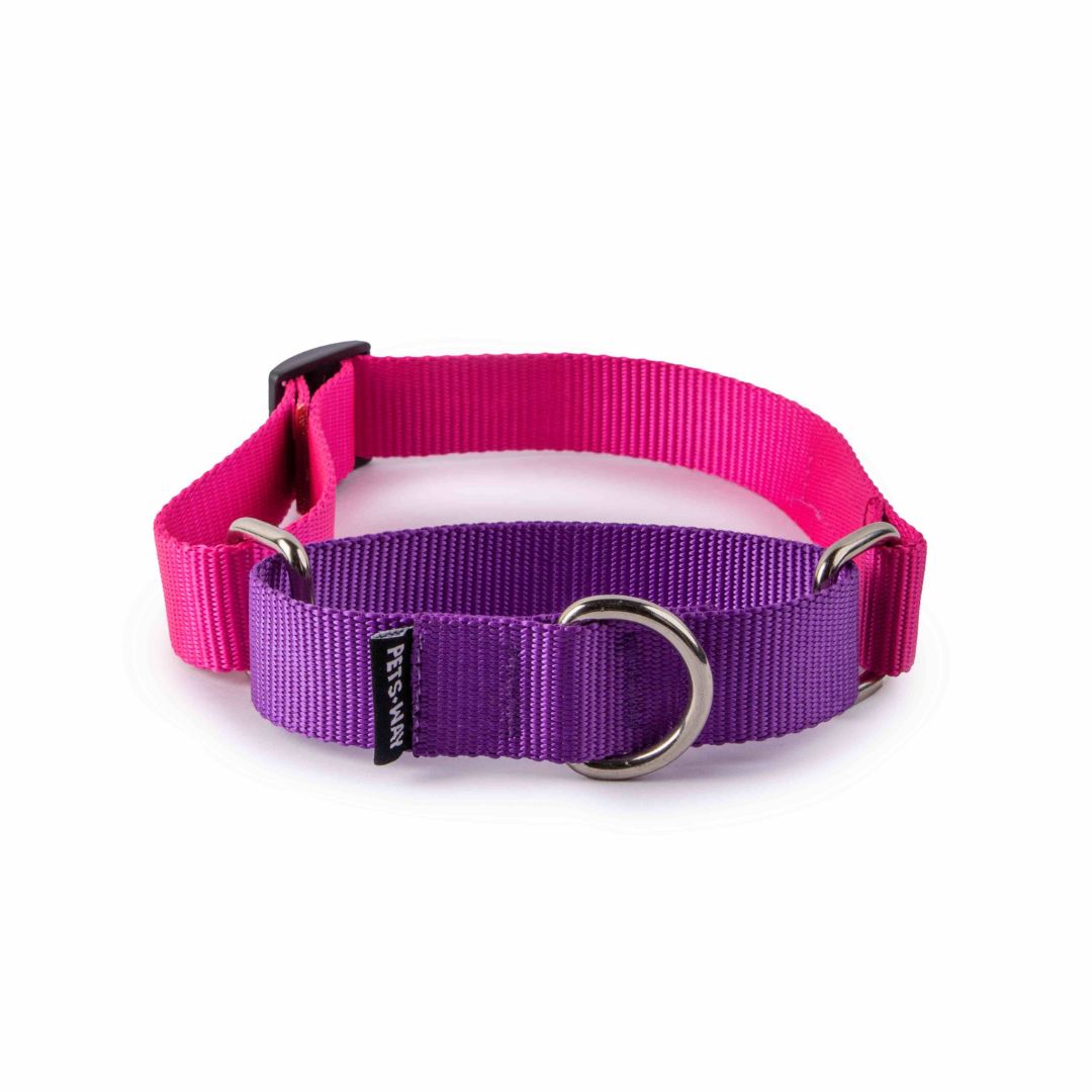 Fuschia & Amethyst - Martingale Dog Collar