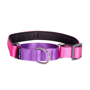 FUCHSIA & AMETHYST MARTINGALE COLLAR