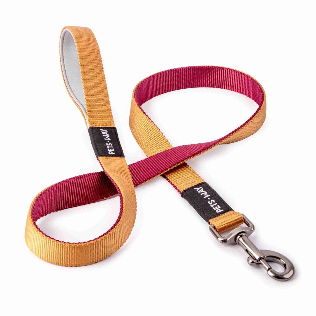 Honey and Wine- Dual Color Leash