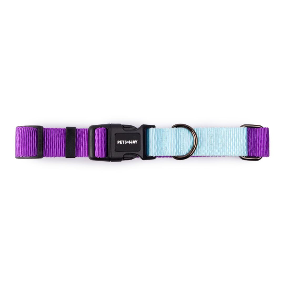 Amethyst & Sky - Dual Color Dog Collar