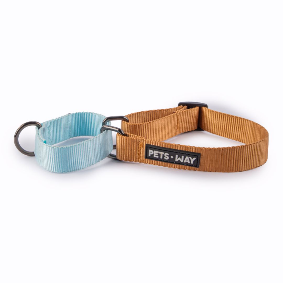 Honey & Sky - Martingale Dog Collar