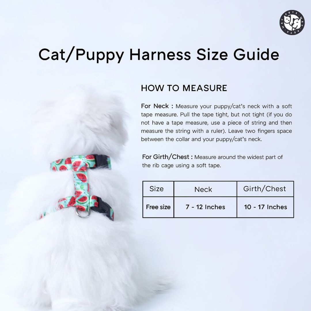 Eggy Puppy & Cat Harness