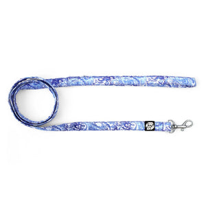 Paisley Puppy & Cat Collar Leash Set