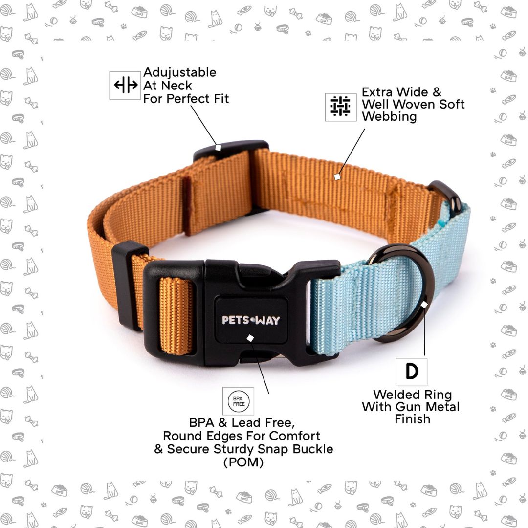 Honey & Sky - Dual Color Dog Collar