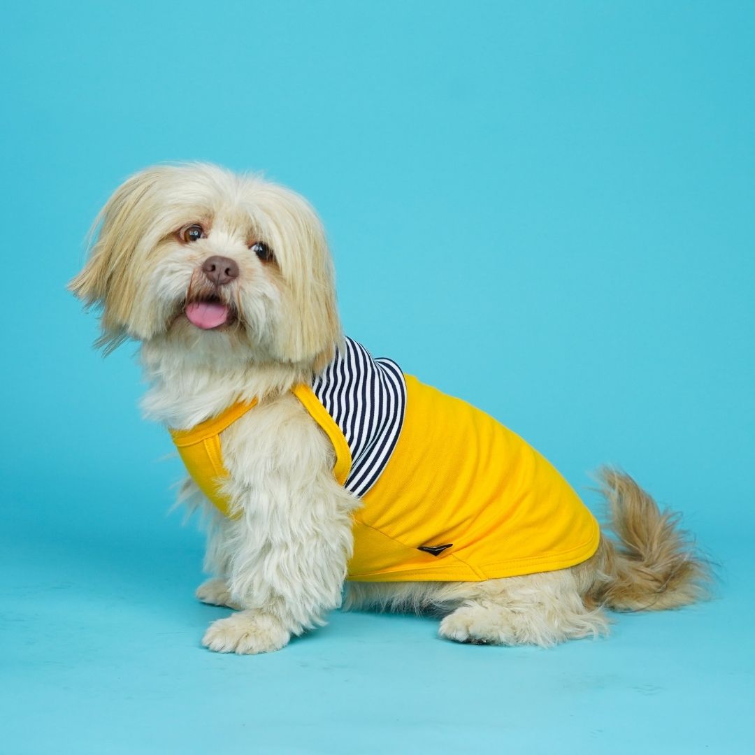 Taxi Dog Vest