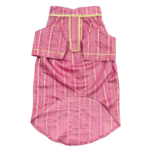 Rangrez Dog kurta