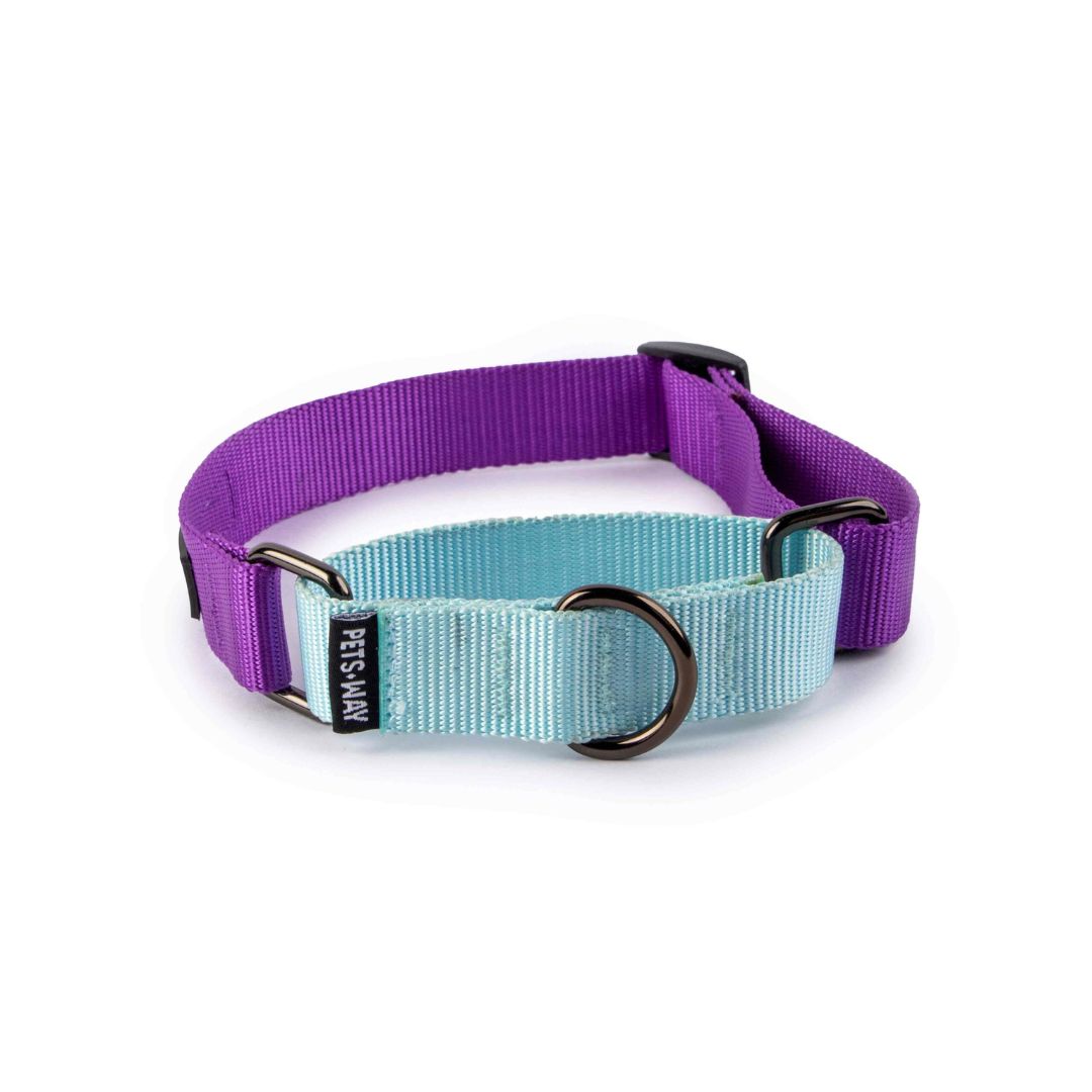 Amethyst & Sky - Martingale Dog Collar