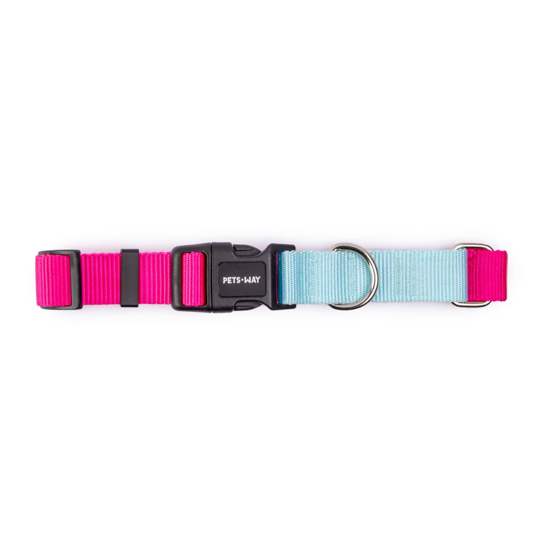 Fuschia & Sky - Dual Color Dog Collar