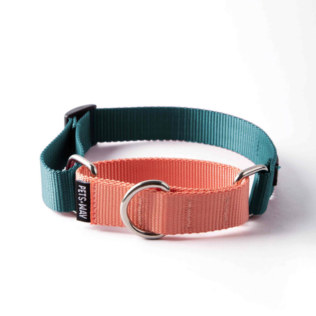 Emerald & Peach - Martingale Dog Collar