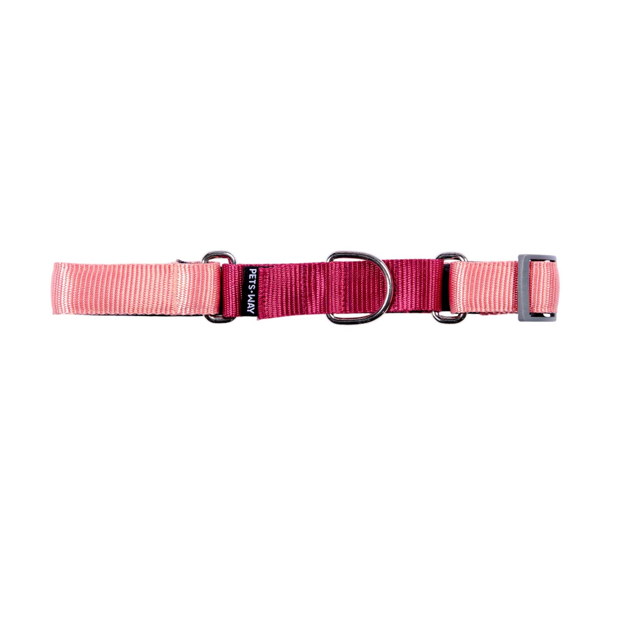 PEACH & WINE MARTINGALE COLLAR