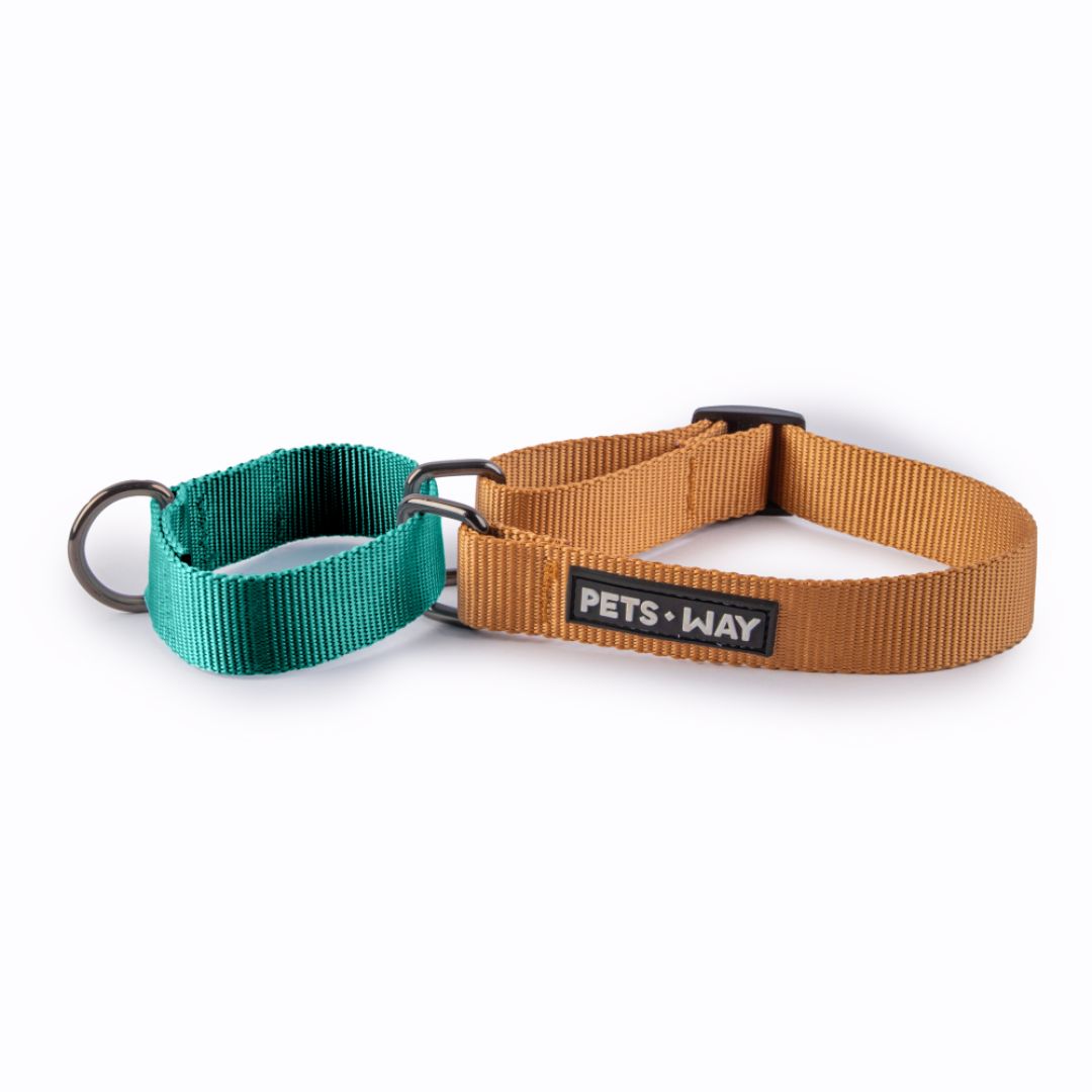 Honey and Emerald - Martingale Collar Dog Collar