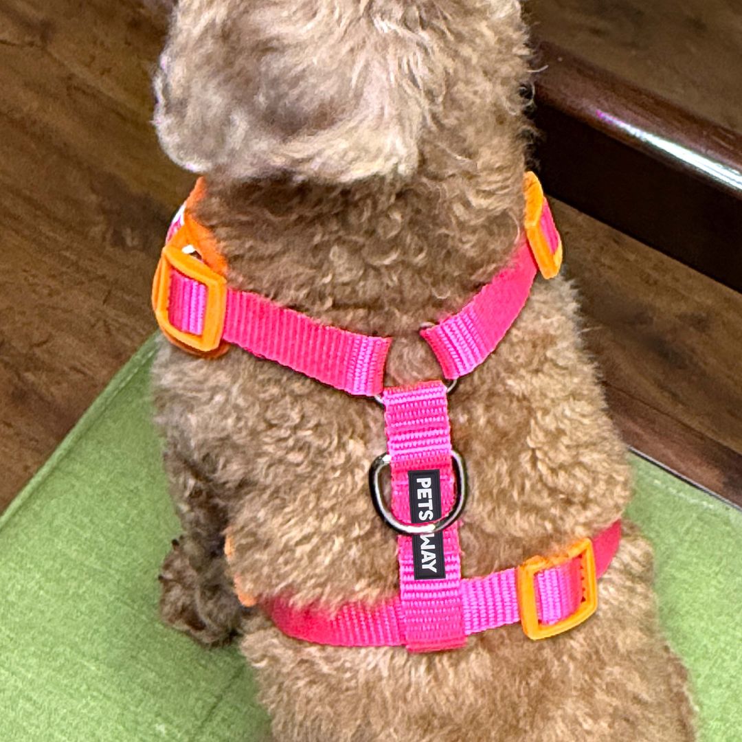 Jaipur Vest Harness