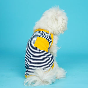 Zebra Dog Vest