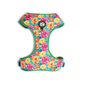 Spring vest Harness