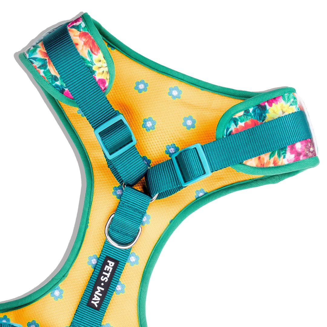 Spring vest Harness