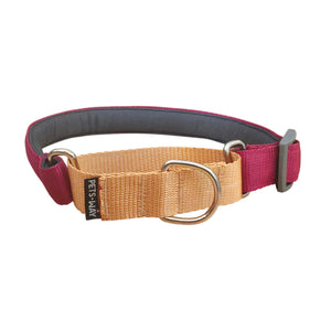 WINE & HONEY MARTINGALE COLLAR