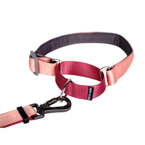PEACH & WINE MARTINGALE COLLAR