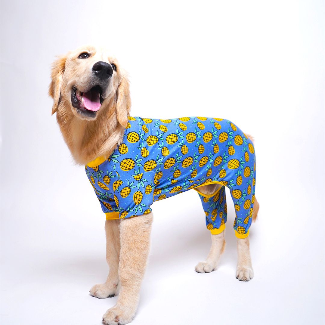 Pineapple Printed Dog Jumpsuit