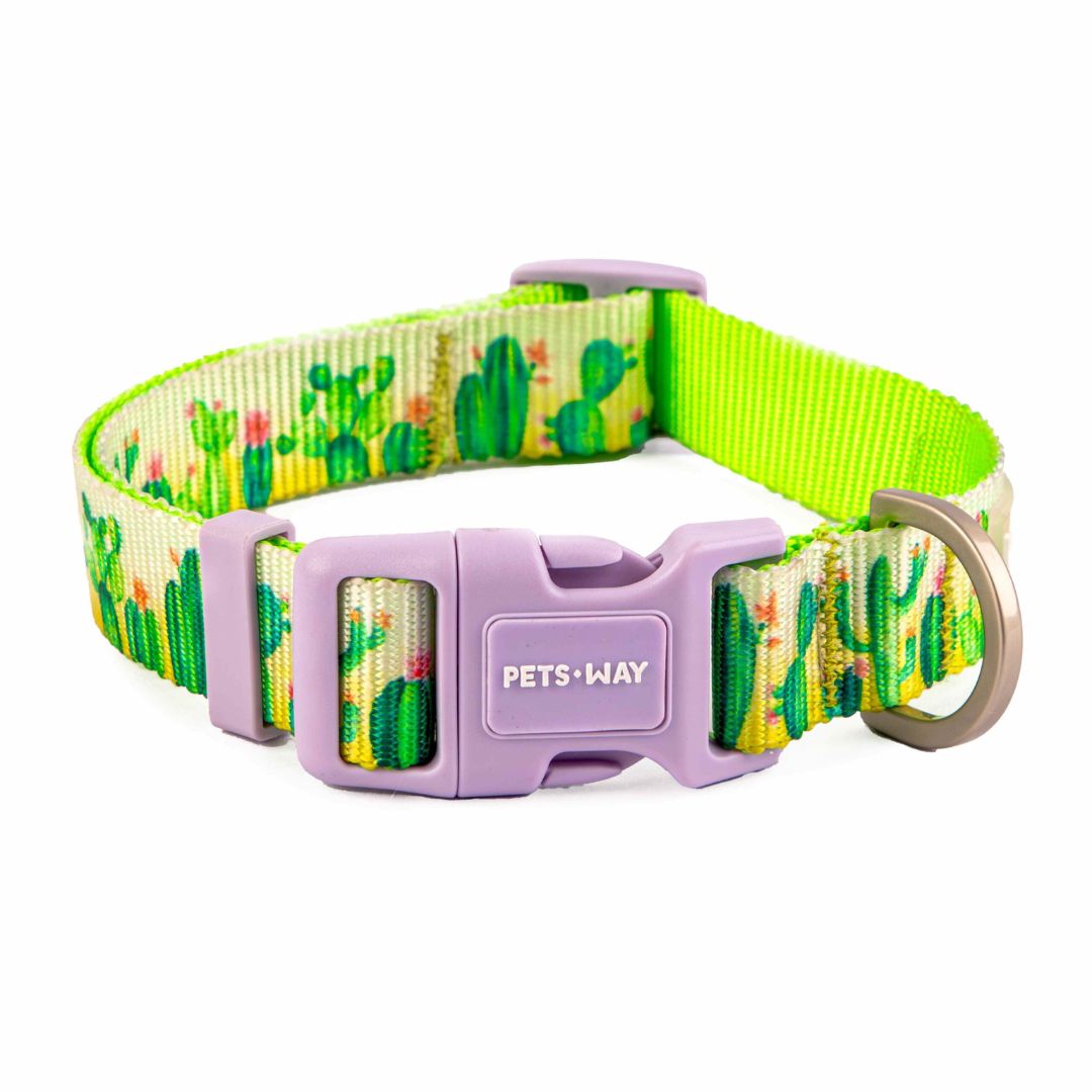 Desert Dog Collar Leash Set