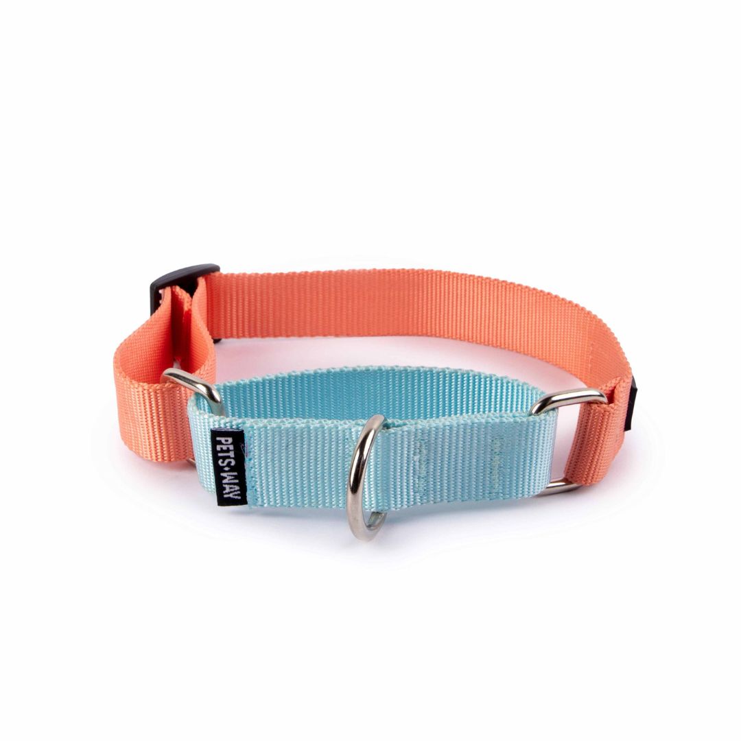 Peach & Sky - Martingale Dog Collar