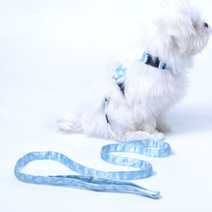 Petal Puppy & Cat Collar & Leash Set