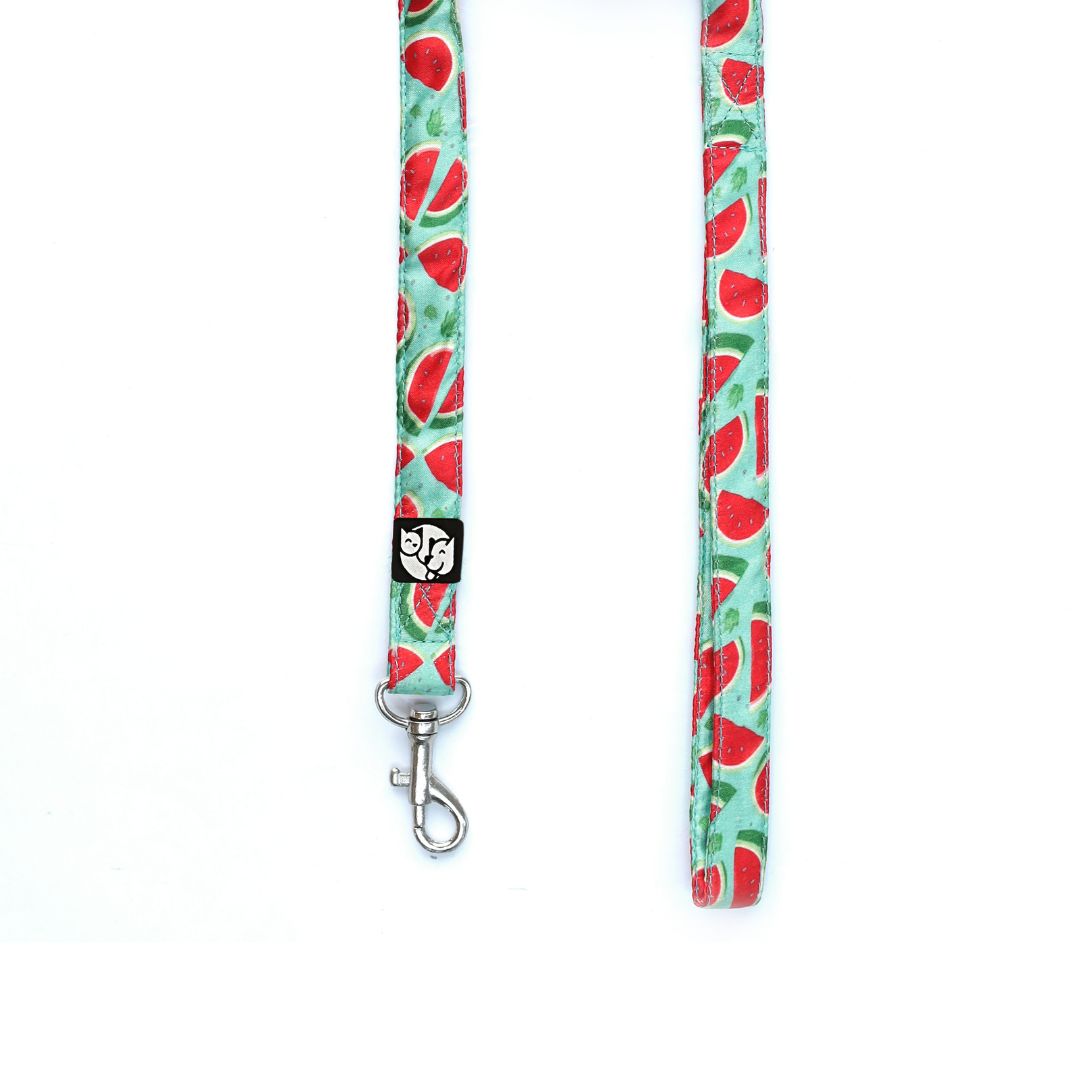 Watermelon Puppy Dog Collar