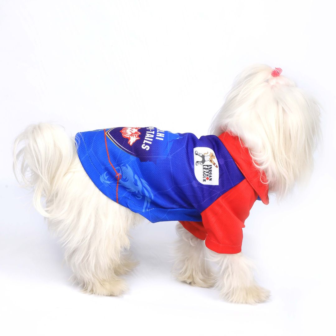 DC Dog Jersey