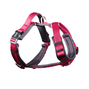 WINE ALPHA HARNESS