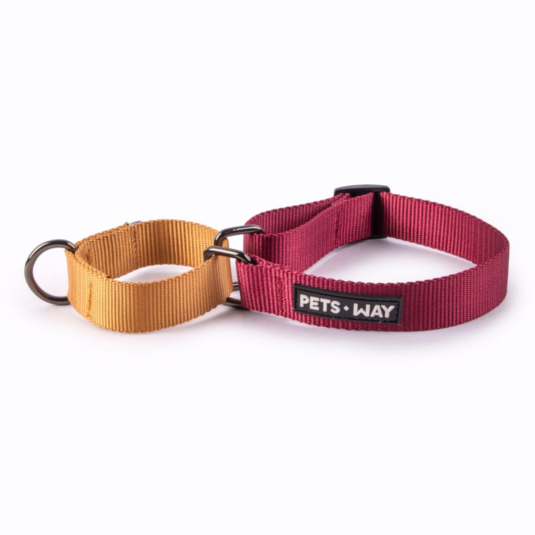 Wine & Honey - Martingale Dog Collar