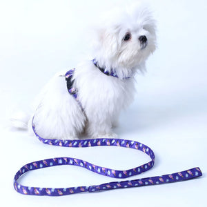 Candy Crush Puppy & Cat Collar Leash Set
