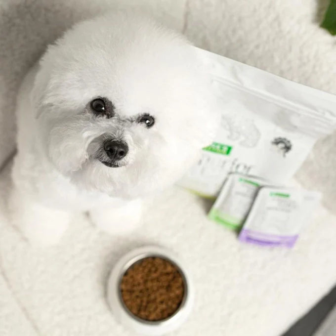 Nature’s Protection Superior Care White Dogs Grain Free with Insect Adult Small Breed Dog Dry Food