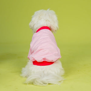 Dive In Stripes - Blush Dog TShirt