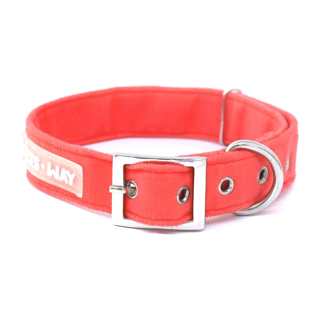 Coral Luxury Velvet Collar