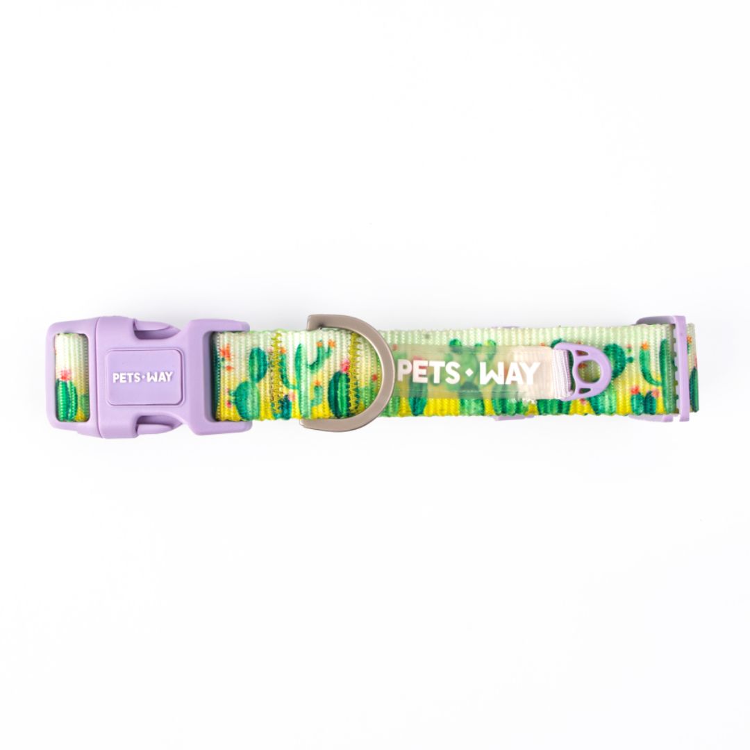 Desert Dog Collar Leash Set