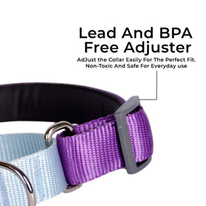 AMETHYST & SKY MARTINGALE COLLAR
