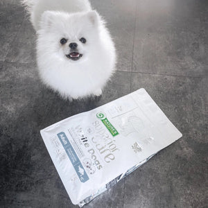 Nature's Protection Superior Care White Dogs Grain Free White Fish Adult Small and Mini Breeds Dog Dry Food
