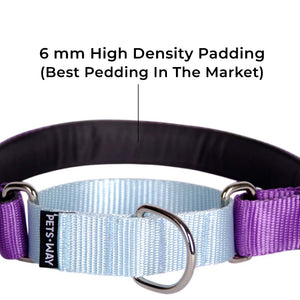 AMETHYST & SKY MARTINGALE COLLAR