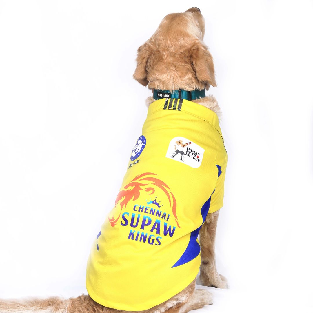 CSK Dog Jersey