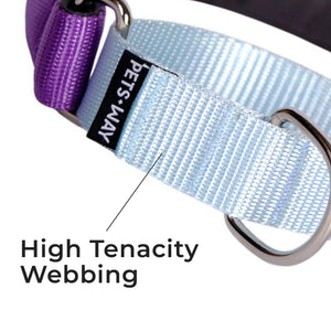 AMETHYST & SKY MARTINGALE COLLAR