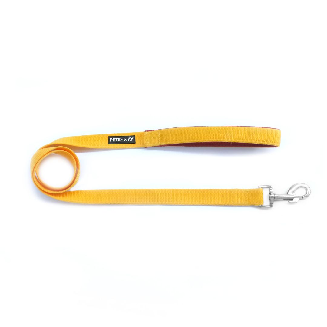 Butterscotch Every Day Dog Collar & Leash Set