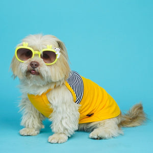 Taxi Dog Vest