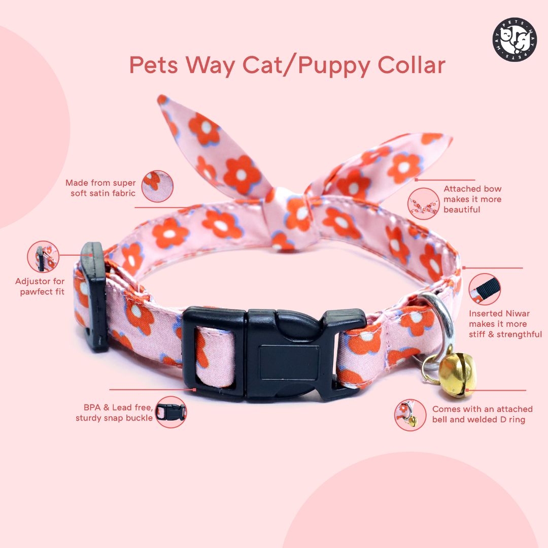 Bold Bloom Puppy Dog Collar