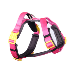 FUSCHIA ALPHA HARNESS