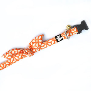 Rangoli Puppy & Cat Collar Leash Set